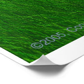 Poster Coucher de soleil de Grassy (Coin)