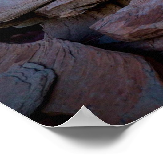 Poster Coucher de soleil de la forêt pétrifiée (Coin)