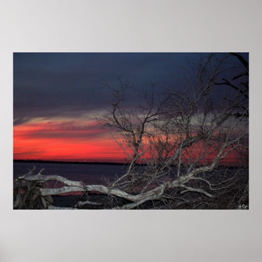 Poster Coucher De Soleil De L'Arbre Morte, S Cyr (Devant)