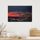 Poster Coucher De Soleil De L'Arbre Morte, S Cyr (Cuisine)