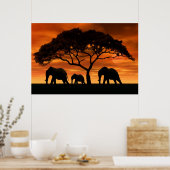 Poster Coucher de soleil de l'éléphant d'Acacia (Cuisine)