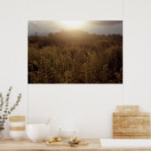 Poster Coucher de soleil de Putney Mountain (Cuisine)