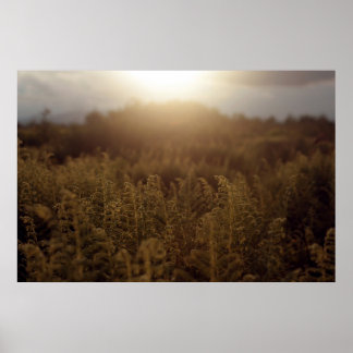 Poster Coucher de soleil de Putney Mountain