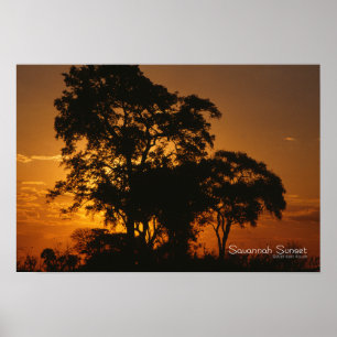Poster Coucher de soleil de Savannah