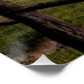 Poster Coucher de soleil de Virginie (Coin)