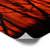 Poster Coucher de soleil derrière le bambou (Coin)