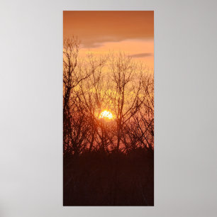 Poster Coucher de soleil derrière les arbres