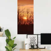 Poster Coucher de soleil derrière les arbres (Bureau à domicile)