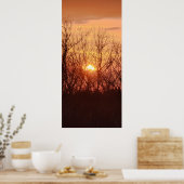 Poster Coucher de soleil derrière les arbres (Cuisine)
