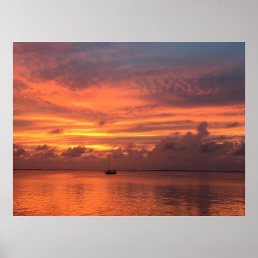 Poster Coucher de soleil des Everglades (Devant)