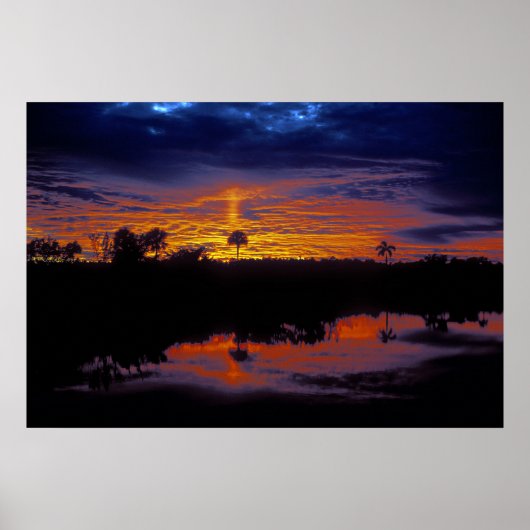 Poster Coucher de soleil des Everglades (Devant)