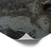 Poster Coucher de soleil des marées (Coin)