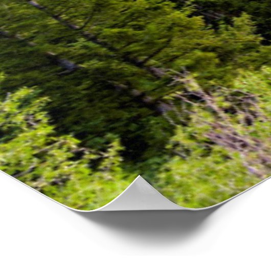 Poster Coucher de soleil d'été à Snake River Vue (Coin)