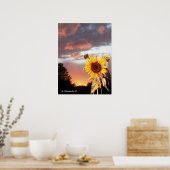 POSTER COUCHER DE SOLEIL D'ÉTÉ TOURNESOL ET ROSE (Cuisine)