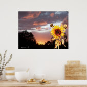 POSTER COUCHER DE SOLEIL D'ÉTÉ TOURNESOL ET ROSE (Cuisine)