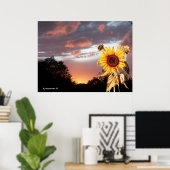 POSTER COUCHER DE SOLEIL D'ÉTÉ TOURNESOL ET ROSE (Bureau à domicile)