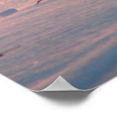 Poster Coucher de soleil d'hiver Kitty dans le champ de m (Coin)