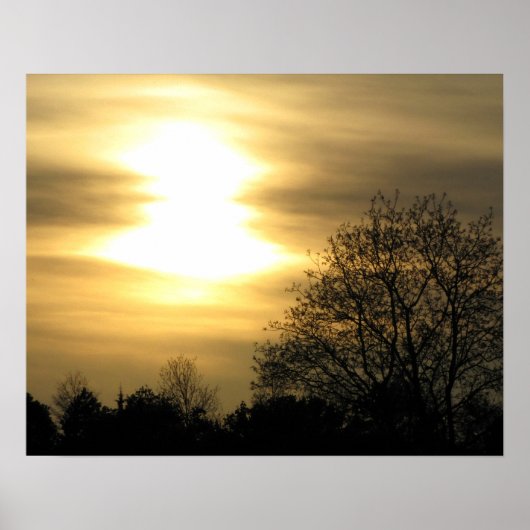Poster Coucher de soleil doré avec arbres silhoués (Devant)