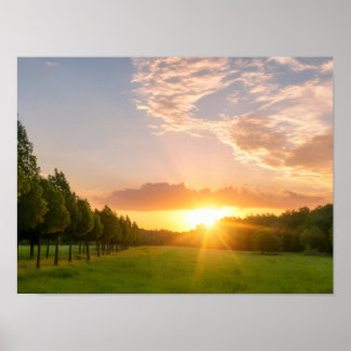 Poster Coucher de soleil doré sur champ vert avec allée d