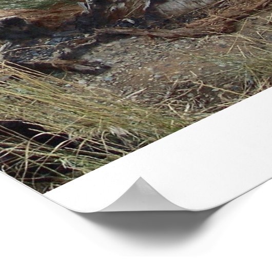 Poster Coucher de soleil du Colorado (Coin)