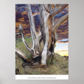 Poster Coucher de soleil du Colorado (Devant)