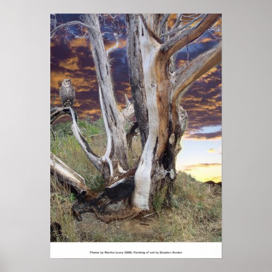 Poster Coucher de soleil du Colorado (Devant)