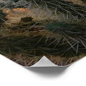 Poster Coucher de soleil du désert de Sonoran Arizona ave (Coin)