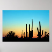 Poster Coucher de soleil du Saguaro (Devant)