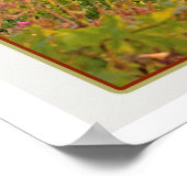 Poster Coucher de soleil du vignoble de Manarola (blanc) (Coin)