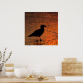 Poster Coucher de soleil en cuivre (Cuisine)