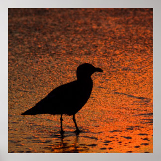 Poster Coucher de soleil en cuivre