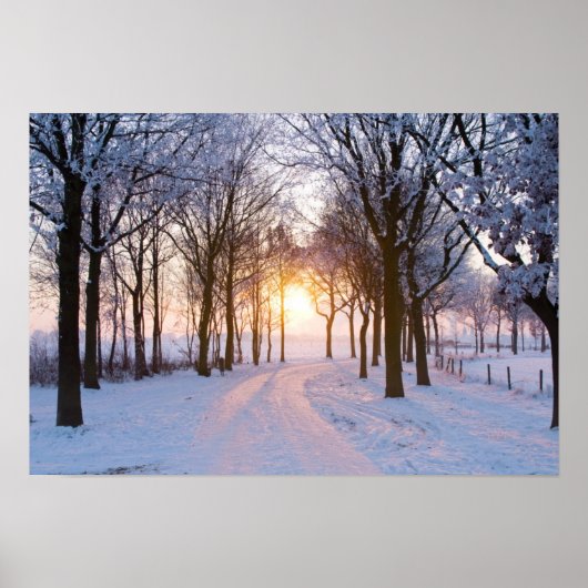 Poster Coucher de soleil en hiver (Devant)