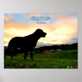 Poster Coucher de soleil et caca (Devant)