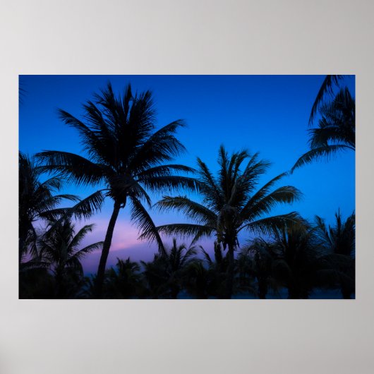 Poster Coucher de soleil et palmiers (Devant)