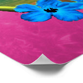 Poster Coucher De Soleil Et Planches De Surf (Coin)