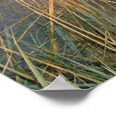 Poster Coucher de soleil Extraordinaire de la mer Noire (Coin)