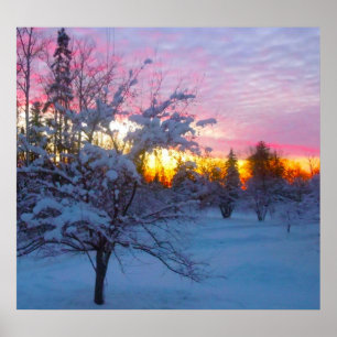 Poster Coucher de soleil hivernal