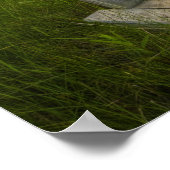 Poster Coucher de soleil Irwin Prairie (Coin)