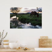 Poster Coucher de soleil naturel (Cuisine)