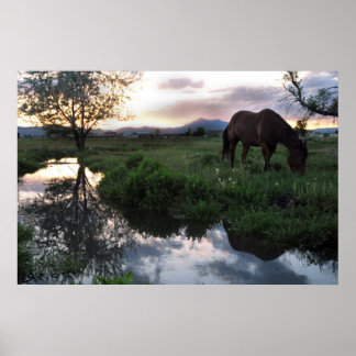 Poster Coucher de soleil naturel