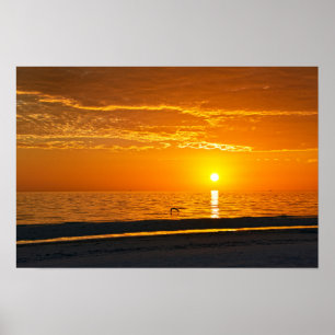Poster Coucher de soleil orange Floride