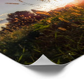 Poster Coucher de soleil romantique dans les champs (Graz (Coin)