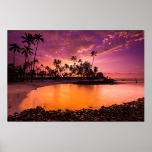 Poster Coucher De Soleil Rose De Hawaii Beach