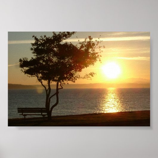 Poster Coucher de soleil sur Beach Drive (Devant)