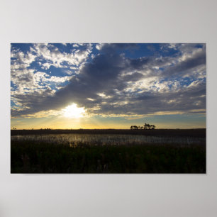 Poster Coucher de soleil sur Kissimmee Prairie Preserve, 