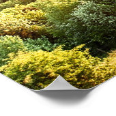 Poster Coucher de soleil sur la colline de Winchester à t (Coin)