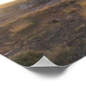 Poster Coucher de soleil sur la forêt pétrifiée (Coin)