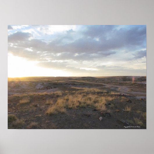 Poster Coucher de soleil sur la forêt pétrifiée (Devant)