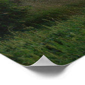 Poster Coucher de soleil sur la grange (Coin)