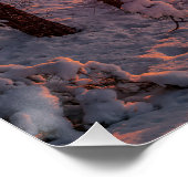 Poster Coucher de soleil sur la mer et le pin (Coin)